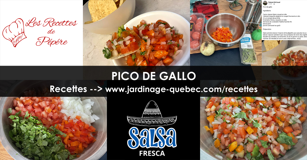 Recettes de Pico de Gallo - Salsa fresca