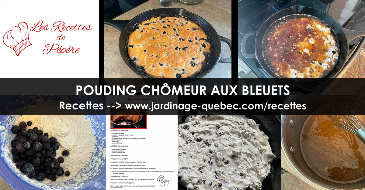 Pouding chômeur aux bleuets
