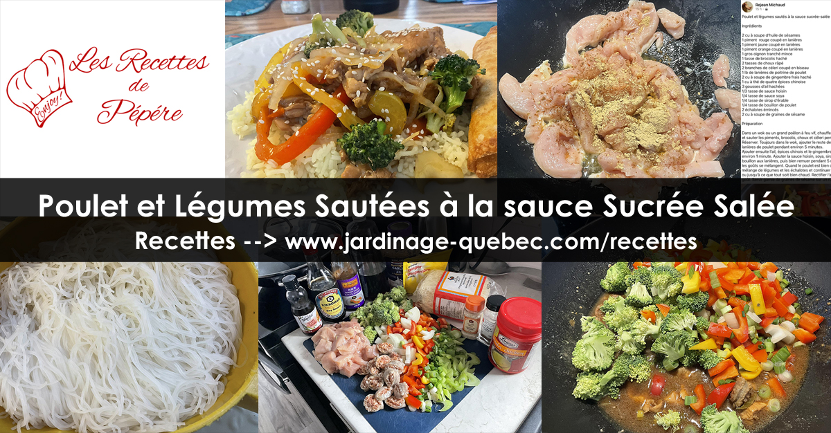 Poulet et légumes sautés à la sauce sucrée salée