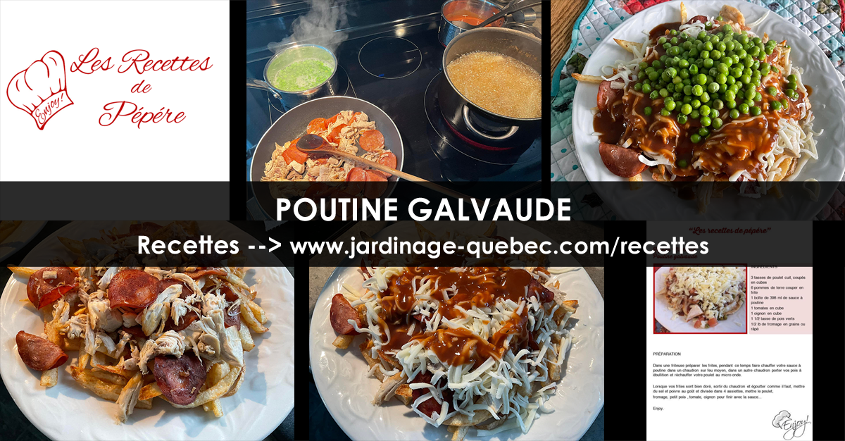 Poutine Galvaude