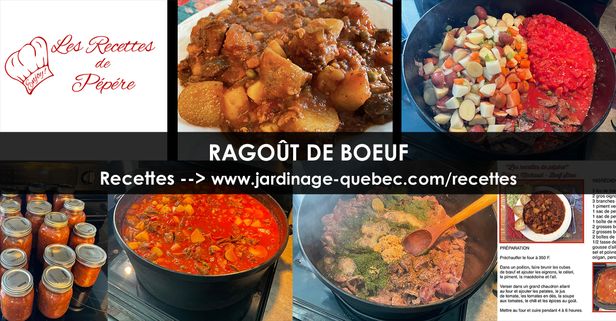 Ragoût de boeuf