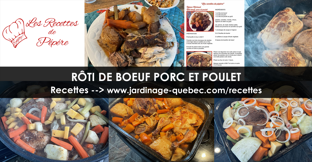 Rôti de boeuf porc et poulet