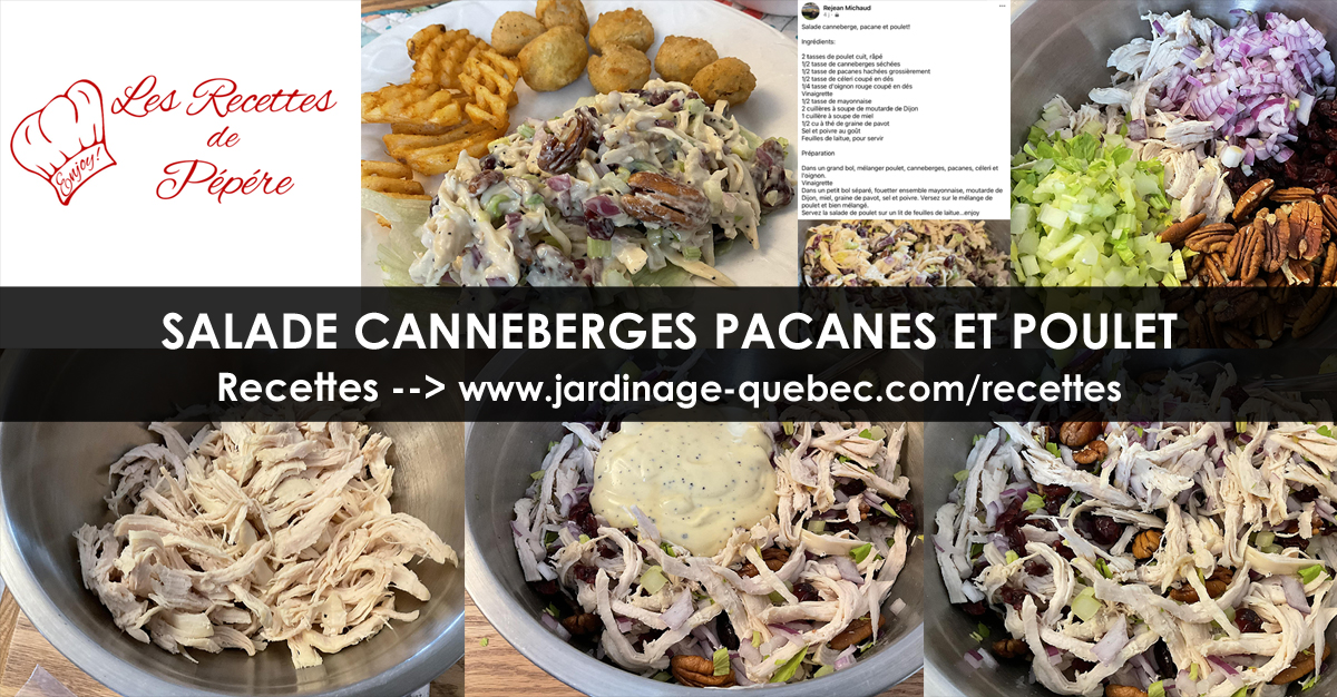 Salade canneberges pacanes et poulet
