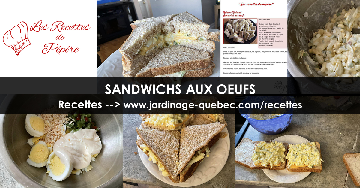 Sandwichs aux oeufs