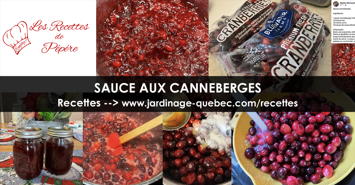 Sauce aux canneberges