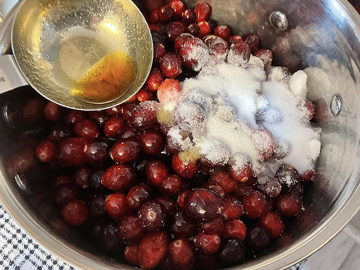 Recette de Sauce aux canneberges