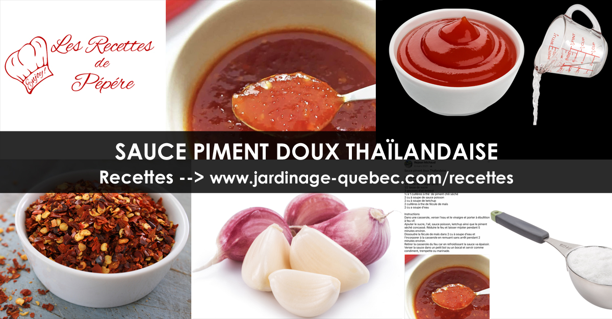Recettes de Sauce piment doux thaïlandaise