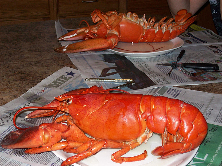 Recettes de sauces à homard