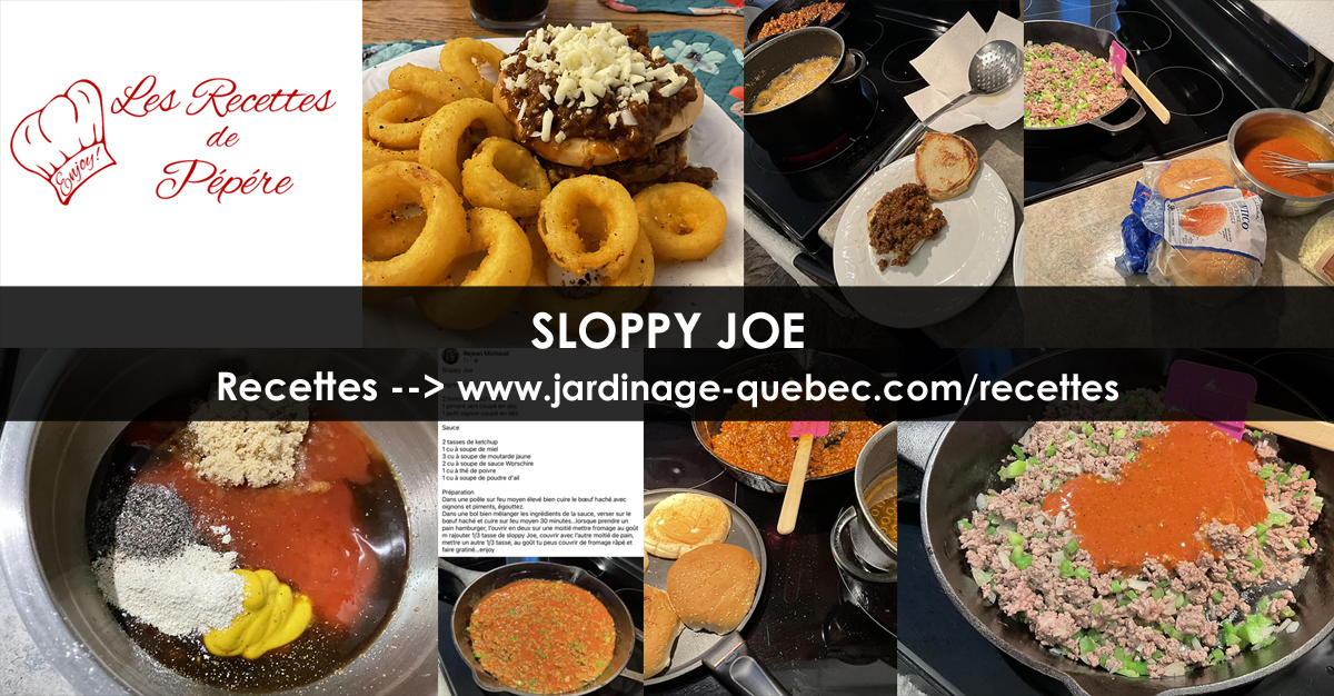 Sloppy Joe