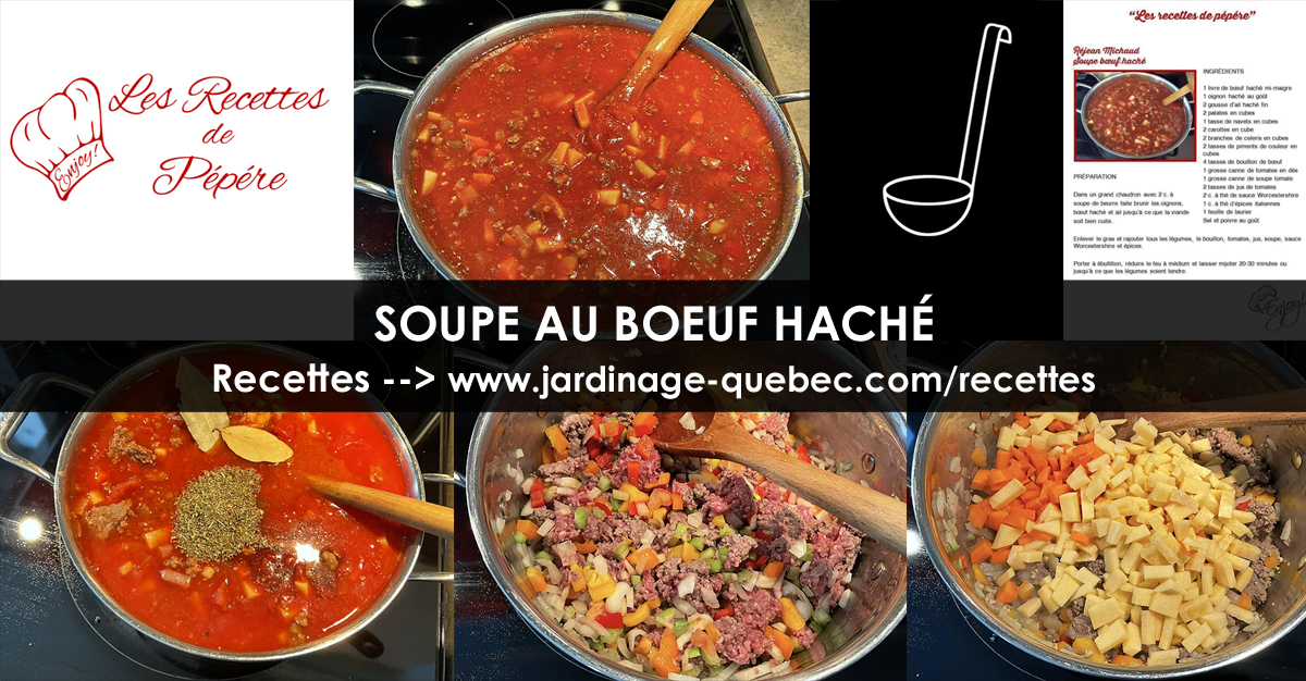 Soupe au boeuf haché