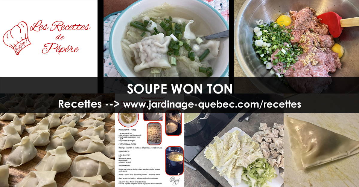 Soupe Wonton Recettes de Pépére