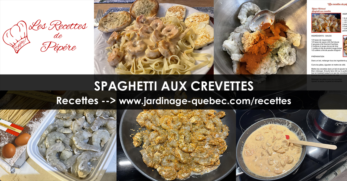 Spaghetti aux crevettes