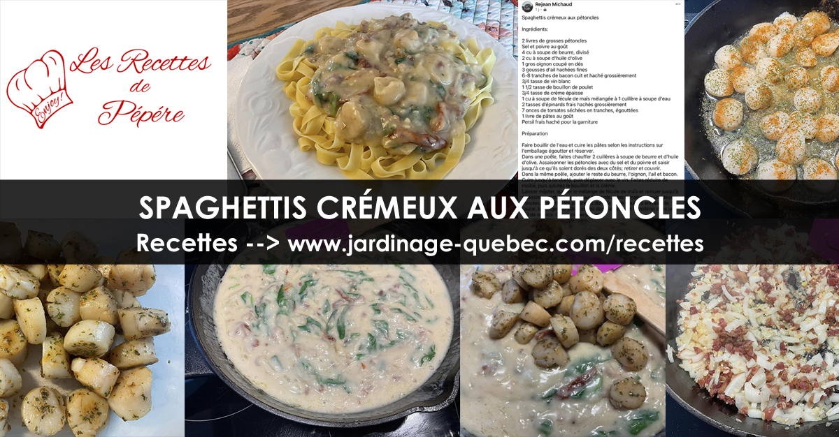 Spaghetti crémeux aux pétoncles