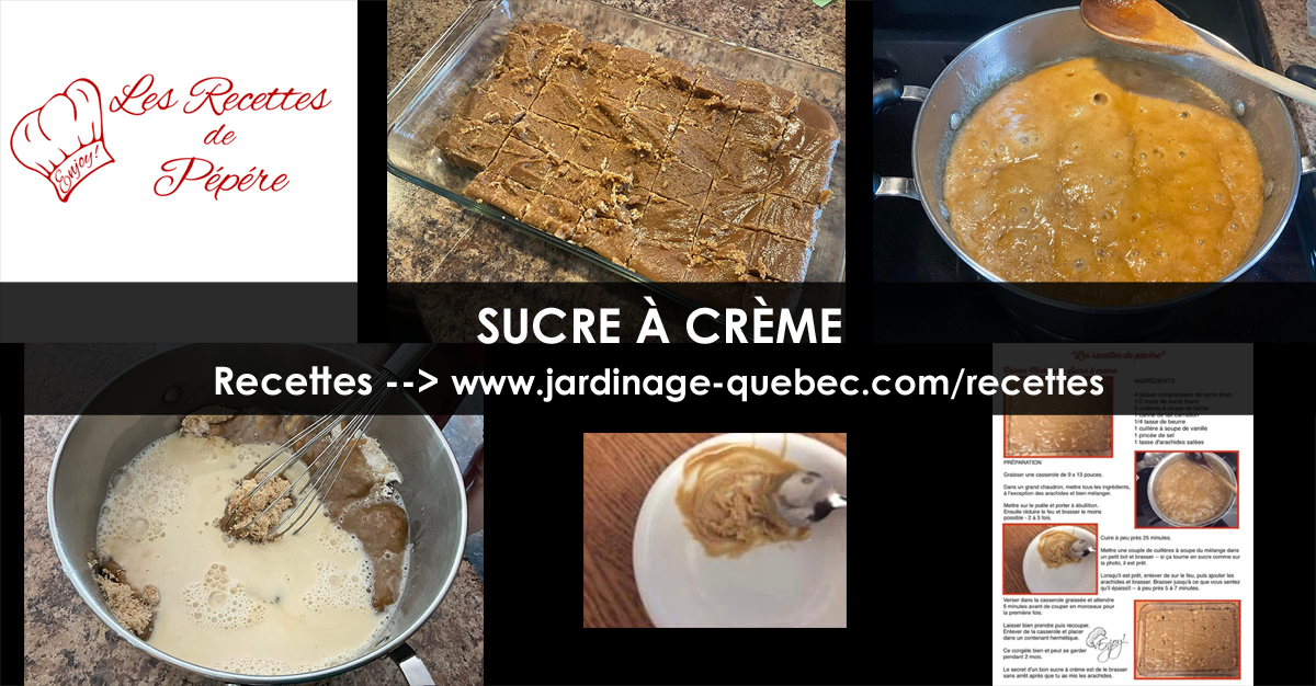 Sucre à la Crème