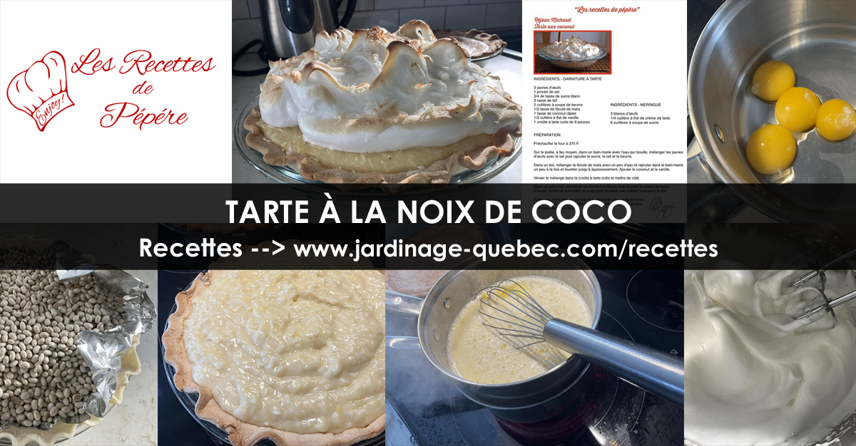 Tarte à la noix de coco