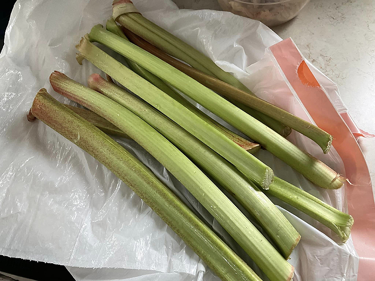 Tarte aux fraises et à la rhubarbe