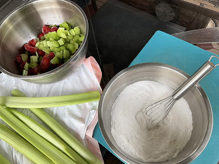 Tarte aux fraises et à la rhubarbe
