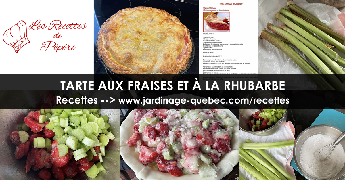 Tarte aux fraises et à la rhubarbe