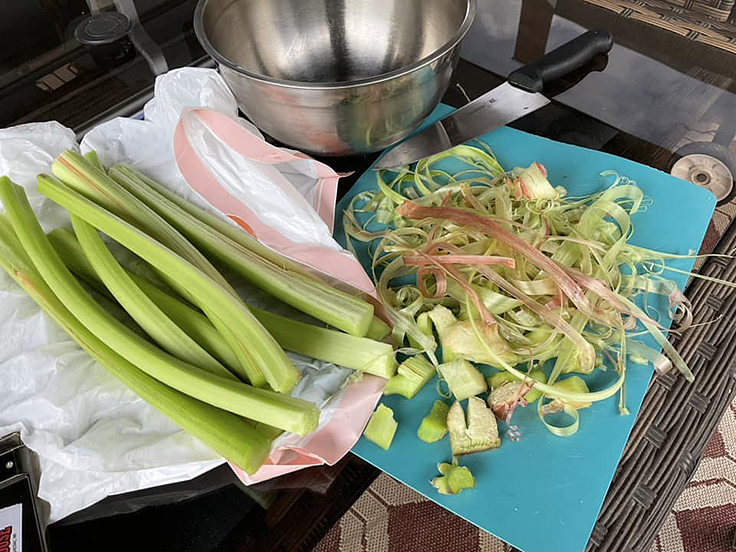 Tarte aux fraises et à la rhubarbe