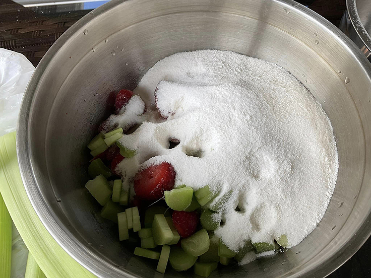 Recette de Tarte aux fraises et à la rhubarbe