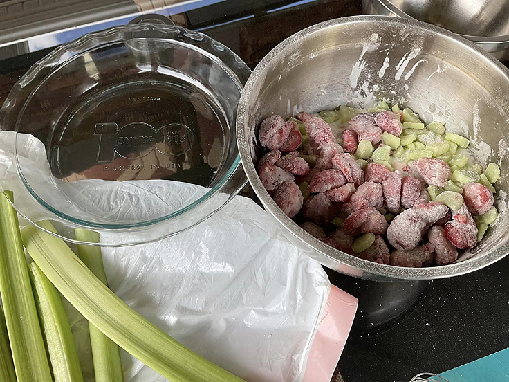 Tarte aux fraises et à la rhubarbe