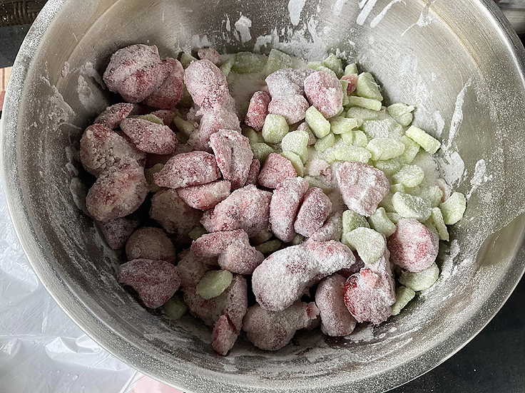 Tarte aux fraises et à la rhubarbe