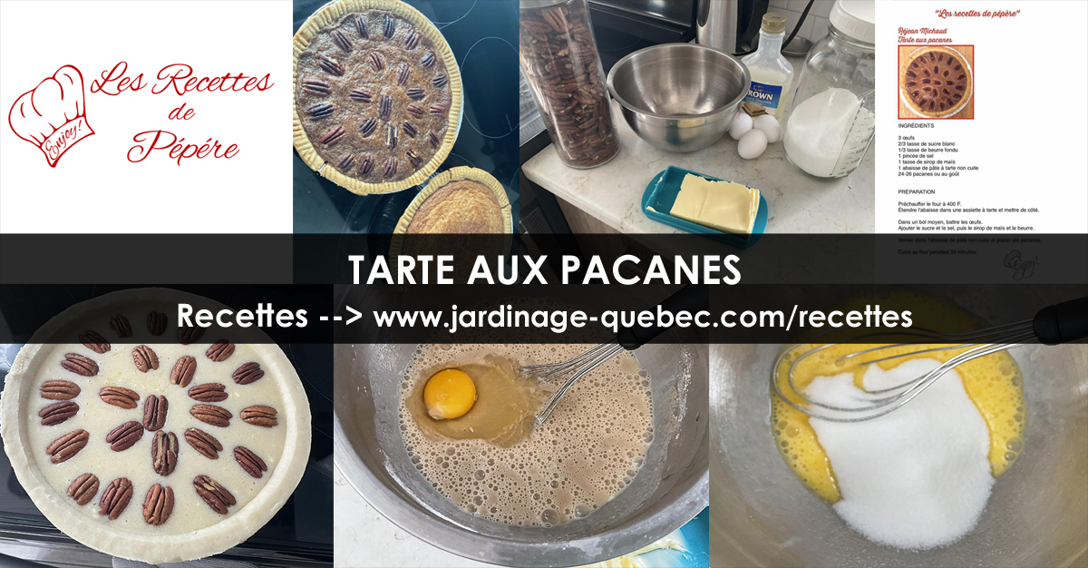 Tarte aux pacanes - Recette gourmande des Recettes de Pépére