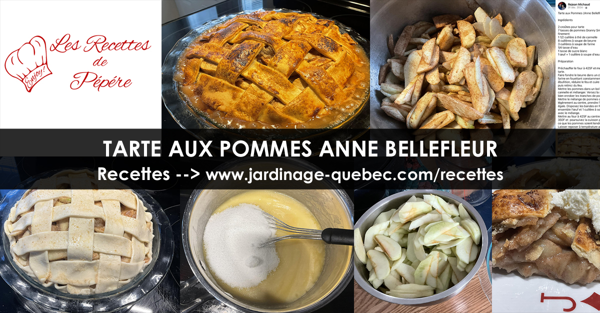 Tarte aux pommes Anne Bellefleur