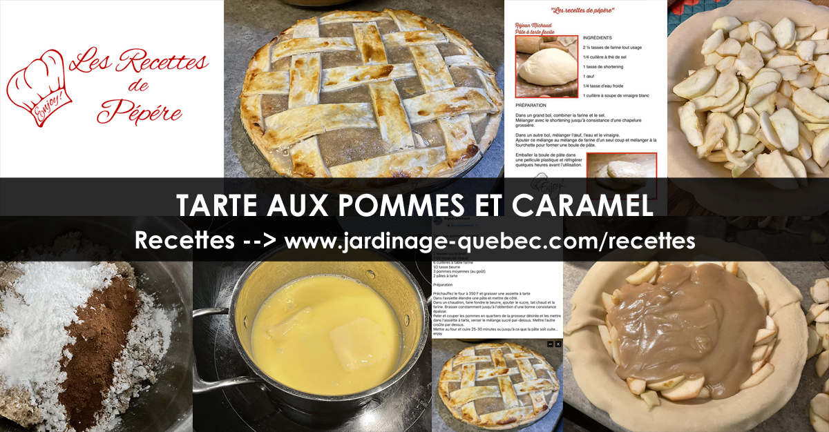 Tarte aux pommes caramel