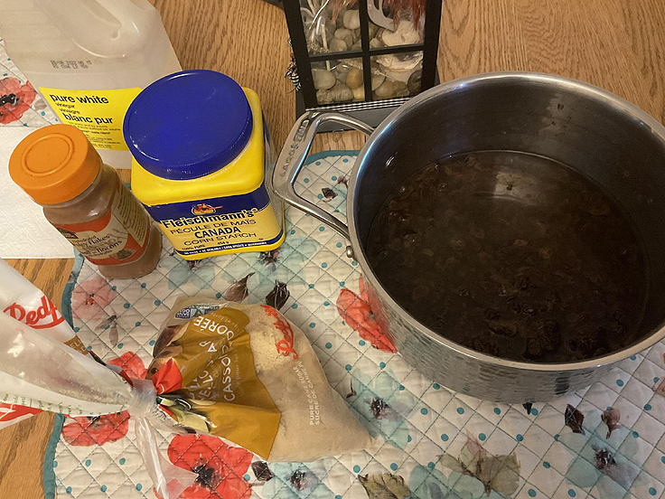 Recette de Tarte aux raisins