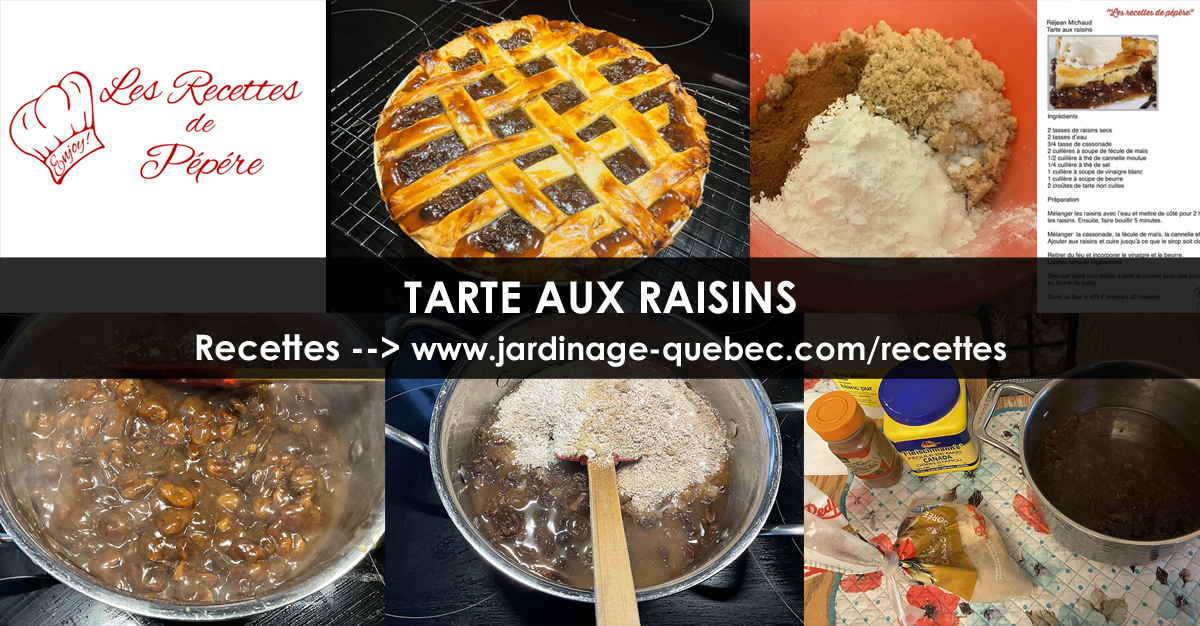 Tarte aux raisins