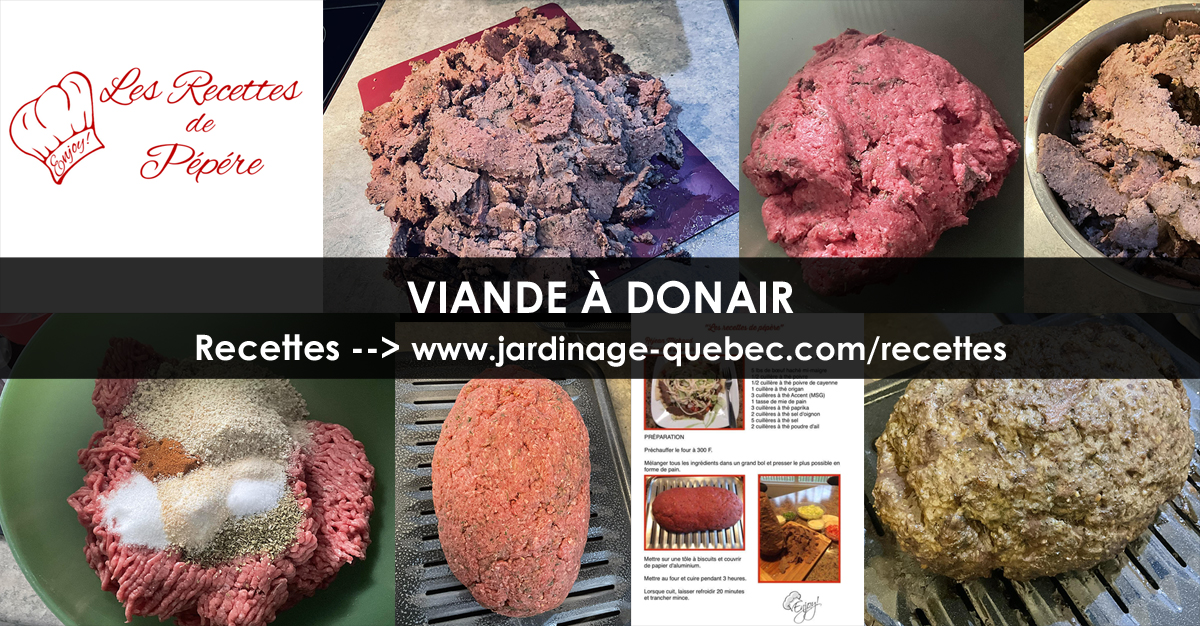 Viande à Donair