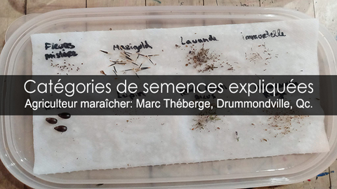 Catégories de semences expliquées