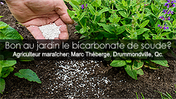 Bicarbonate de soude