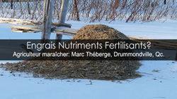 Engrais nutriments et fertilisants - Démystification des différences