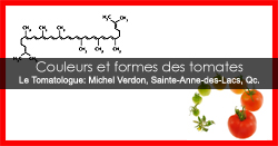 Les couleurs des tomates