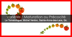 Maturation des tomates