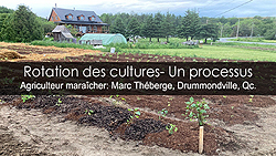 Rotation des cultures : Techniques efficaces pour un sol sain et des récoltes abondantes