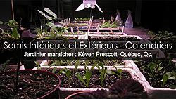 Quand faire ses semis