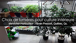 Lampes de culture