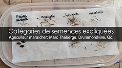 Catégories de semences ou graines expliquées