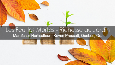 Les feuilles mortes