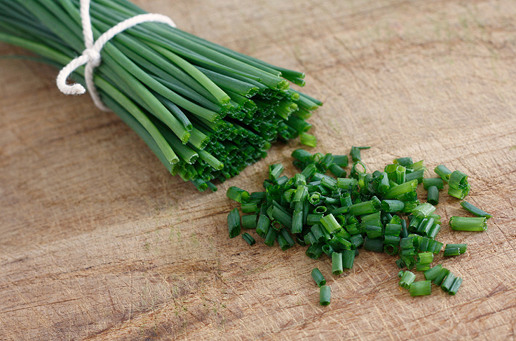Tiges de ciboulette
