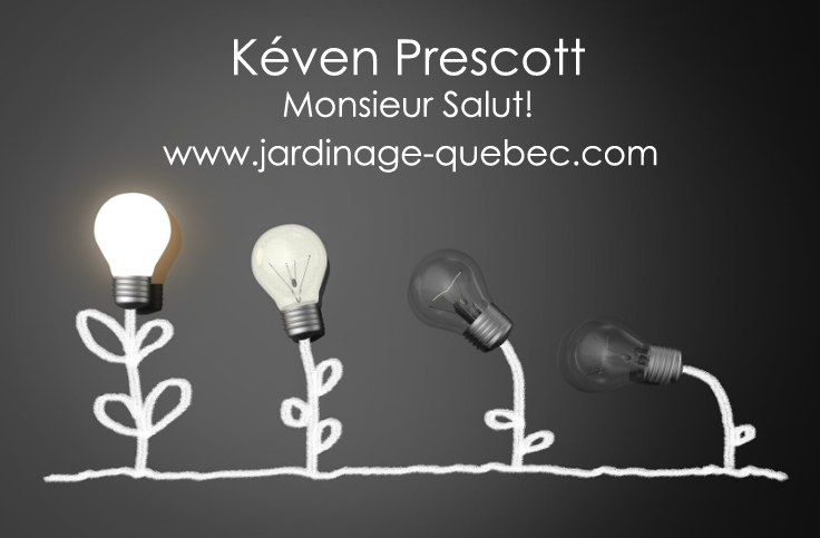 Éclairage des semis