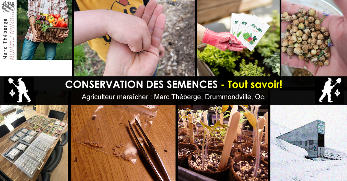 Conservation des semences