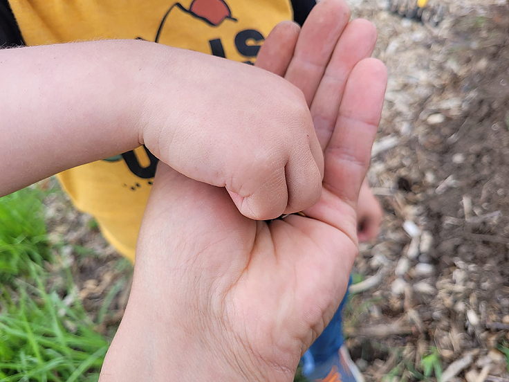 Un bon entreposage permet une meilleure vialbilité des semences
