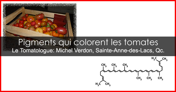 Couleur de la chair de la tomate - Couleur de la peau de la tomate