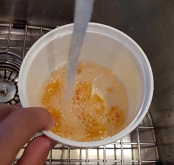 Récolter des graines de tomates