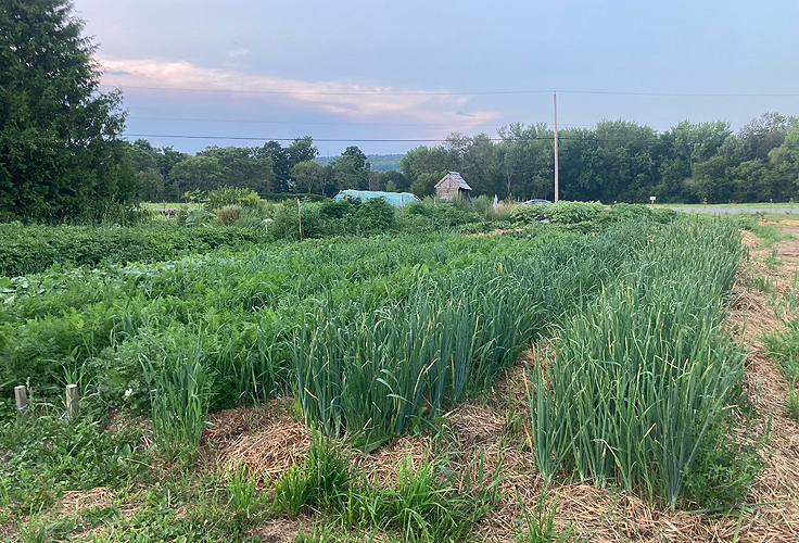 Rotation des cultures