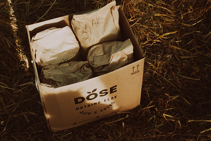 Acheter des bulbes de tulipes